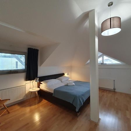 Charming Apartment Mila In Privat House With Free Parking Любляна Екстер'єр фото