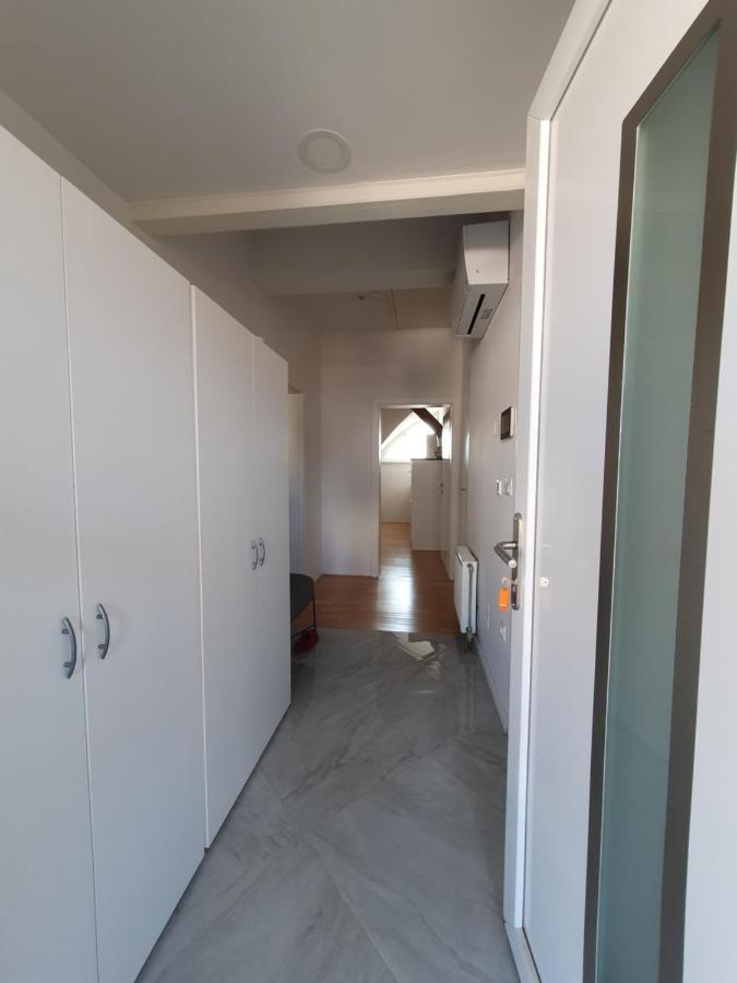 Charming Apartment Mila In Privat House With Free Parking Любляна Екстер'єр фото
