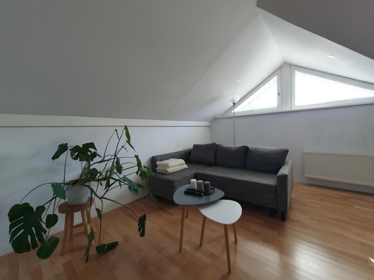 Charming Apartment Mila In Privat House With Free Parking Любляна Екстер'єр фото