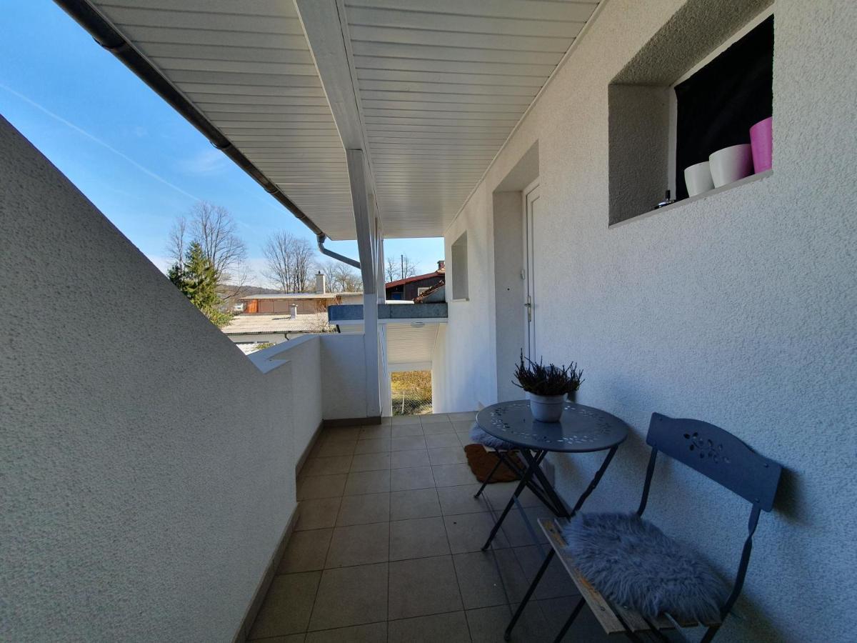 Charming Apartment Mila In Privat House With Free Parking Любляна Екстер'єр фото