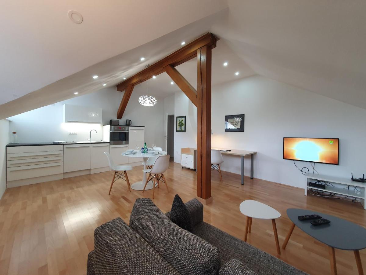 Charming Apartment Mila In Privat House With Free Parking Любляна Екстер'єр фото