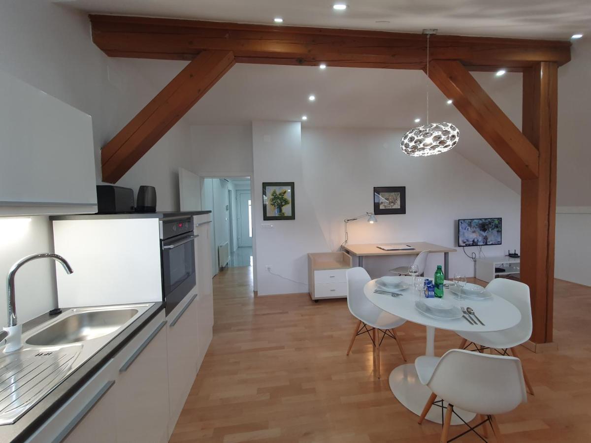 Charming Apartment Mila In Privat House With Free Parking Любляна Екстер'єр фото