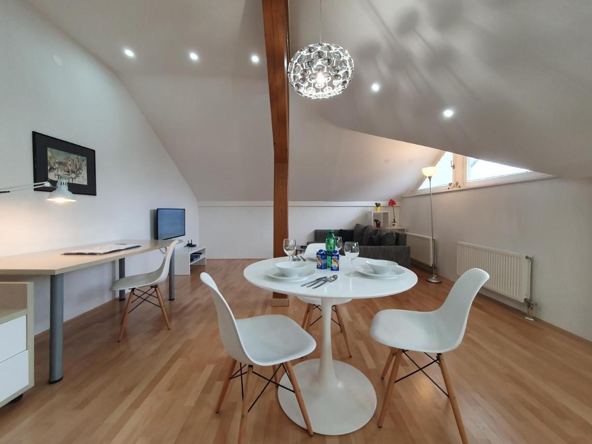 Charming Apartment Mila In Privat House With Free Parking Любляна Екстер'єр фото
