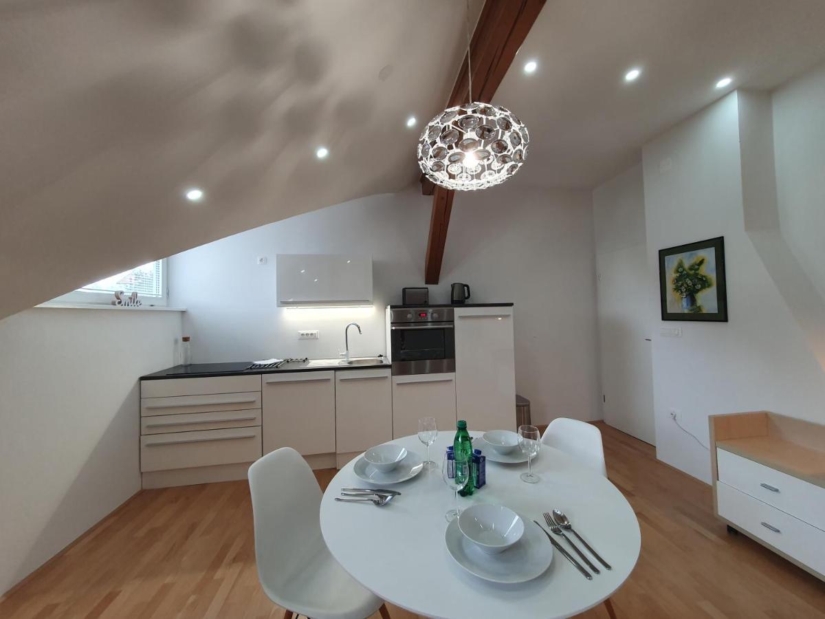 Charming Apartment Mila In Privat House With Free Parking Любляна Екстер'єр фото