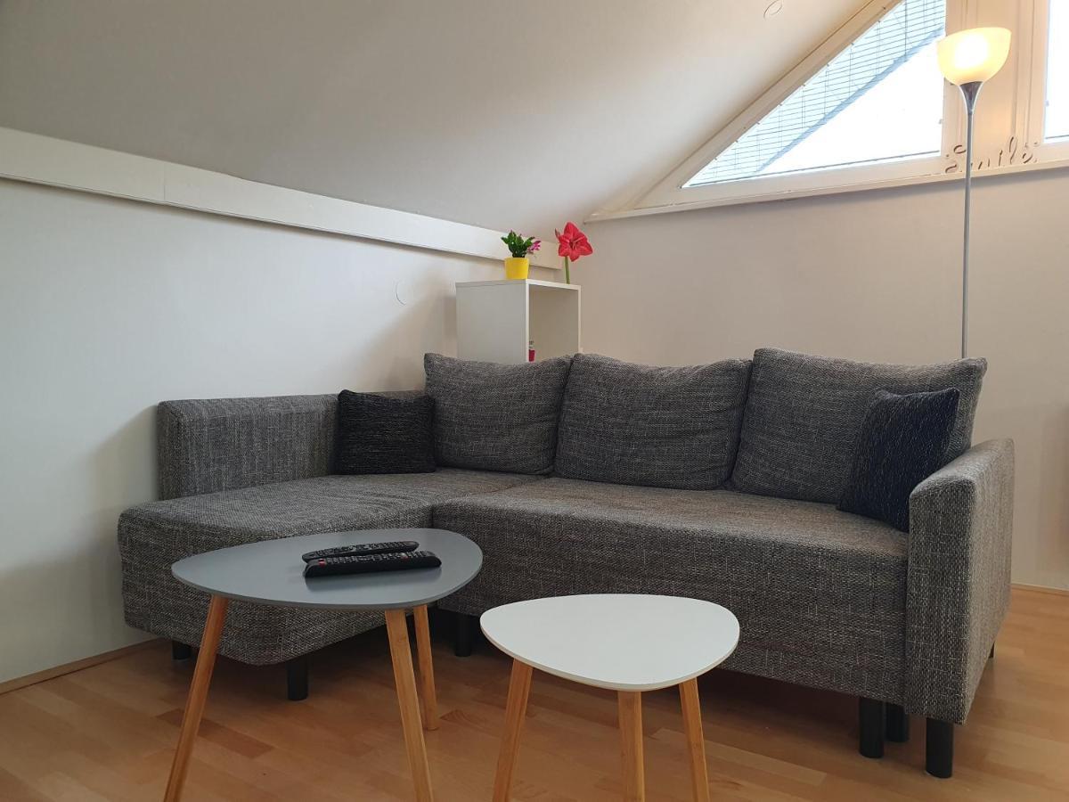 Charming Apartment Mila In Privat House With Free Parking Любляна Екстер'єр фото