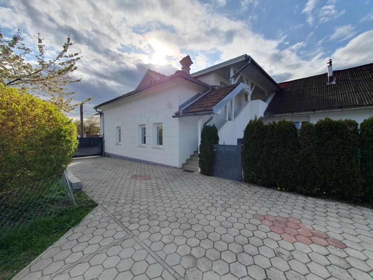 Charming Apartment Mila In Privat House With Free Parking Любляна Екстер'єр фото